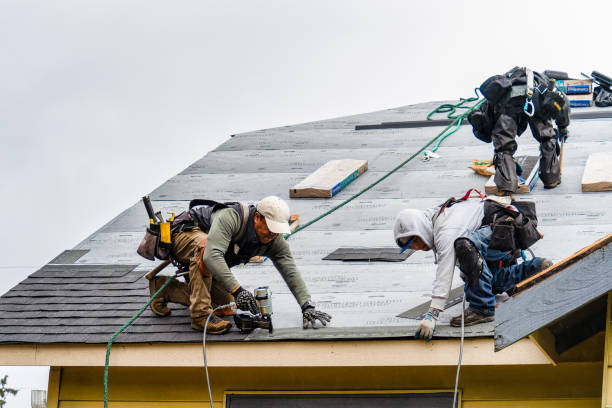 Professional Roofing technician working in Reinholds, PA